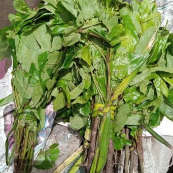 Fresh Food