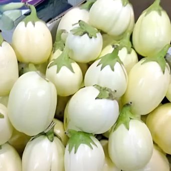 Fresh Food