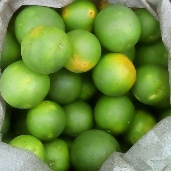 Fresh Food