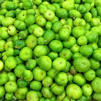 Fresh Food