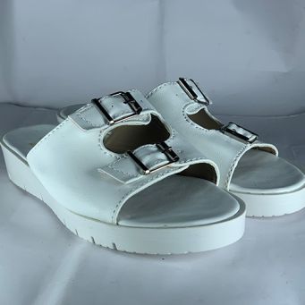 Slides