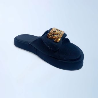 Slides