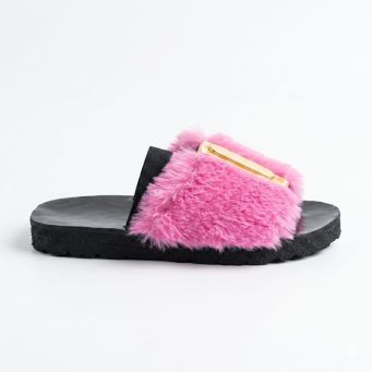 Slides