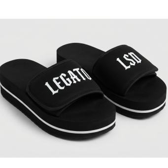 Slides