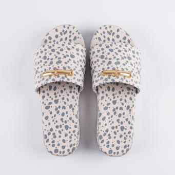 Slides