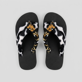 Slides