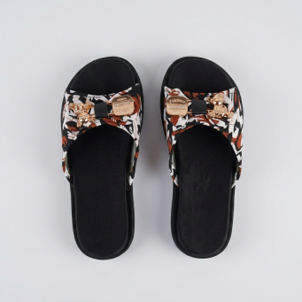 Slides