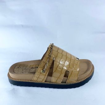Slides