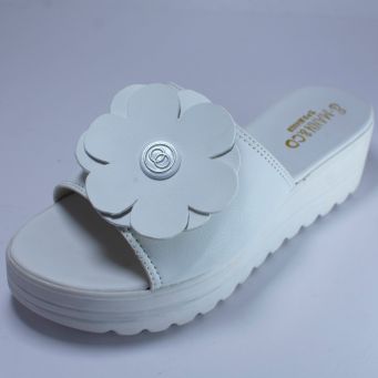 Slides