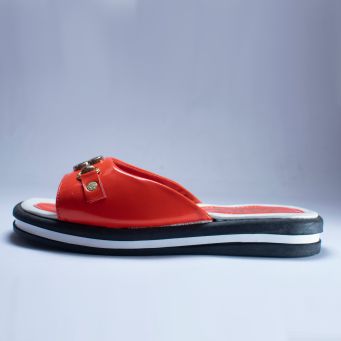 Slides